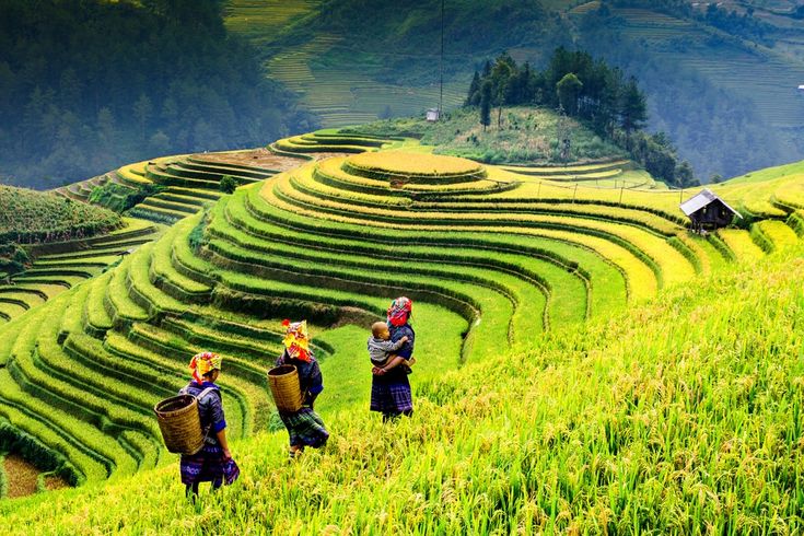 Vietnam Family Holiday Guide for Indians — Everything You Need to Know 2026-27