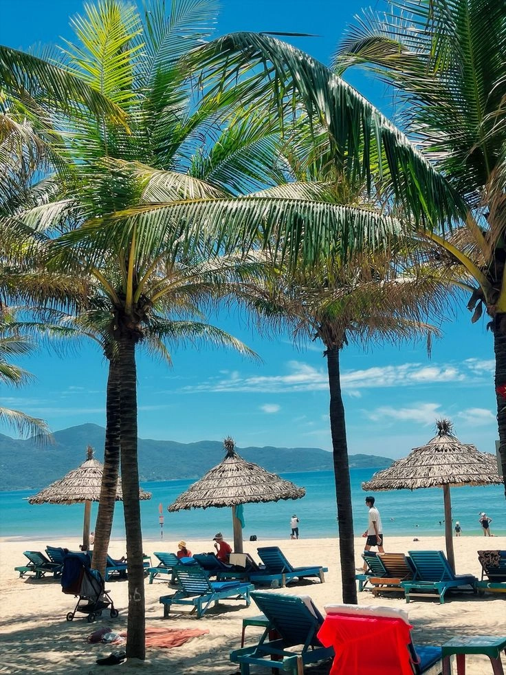 Sunbeds and umbrellas at An Bang Beach Hoi An