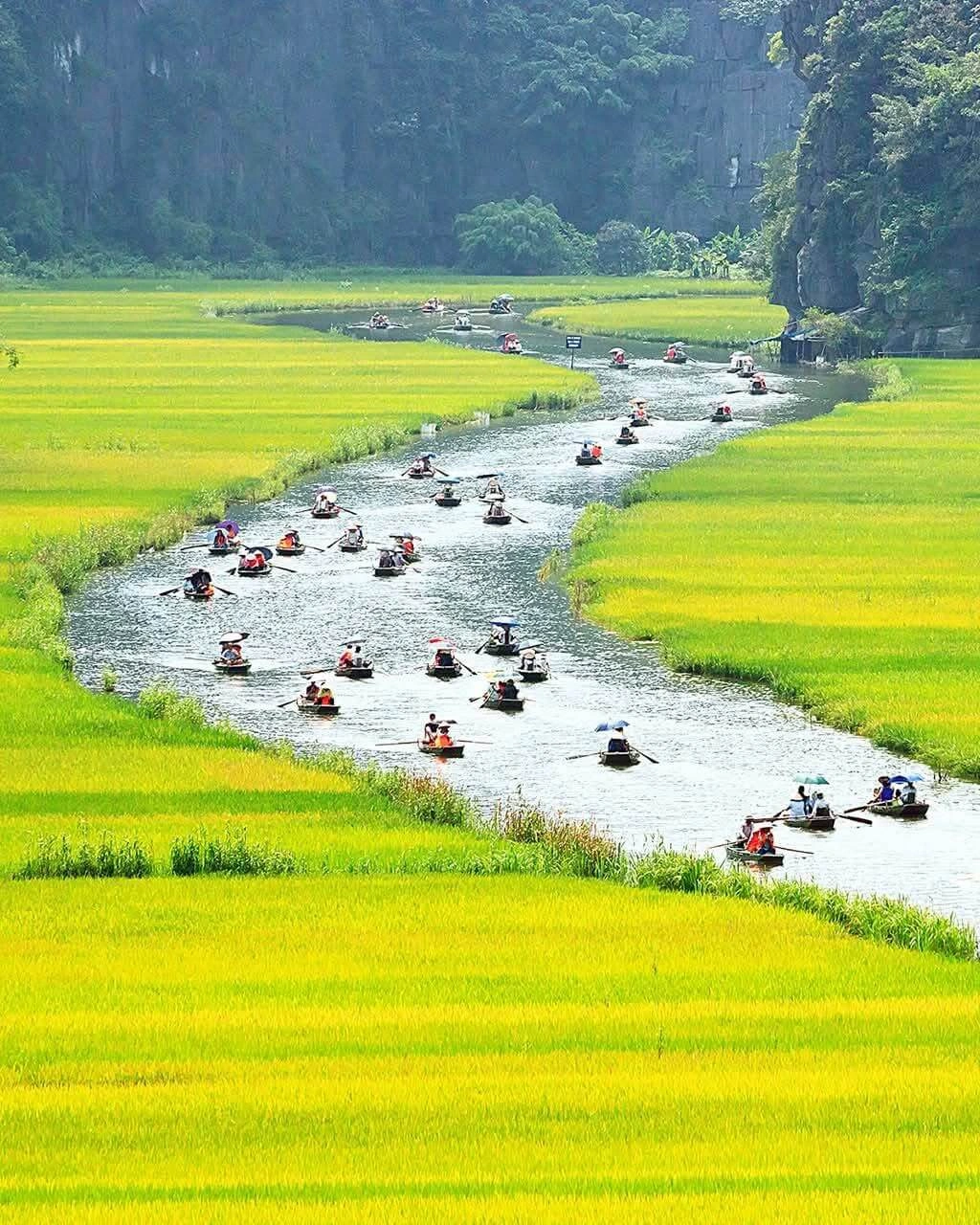 Tam Coc Rice Fields