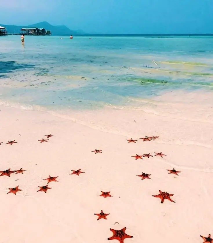 Sao Beach (Bai Sao) Phu Quoc - pristine white sand beach southern Vietnam