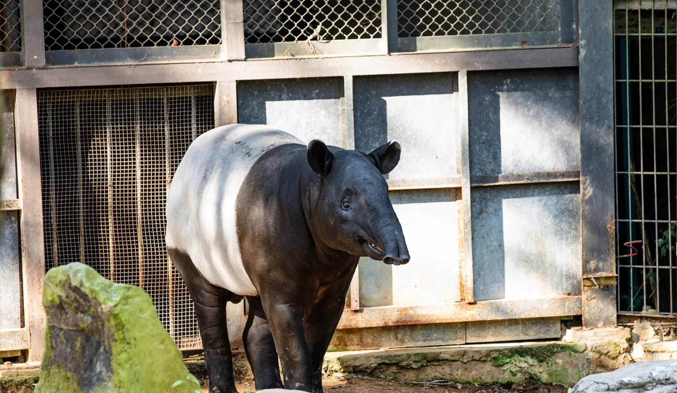 Phu Quoc VinSafari