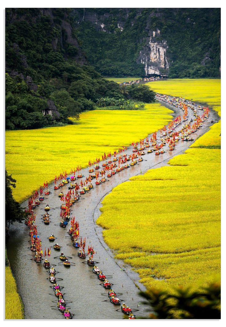 Ninh Binh Tam Coc Boat Ride