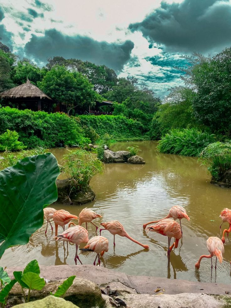 Phu Quoc Vinpearl Safari