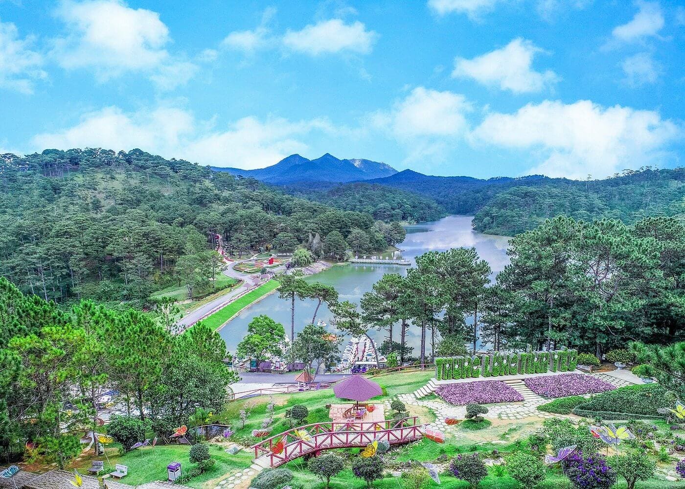overview